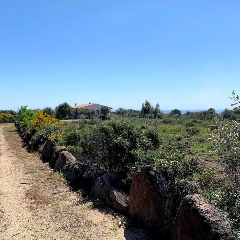 Private Countryside Retreat, Distant Sea View - Villa - 9