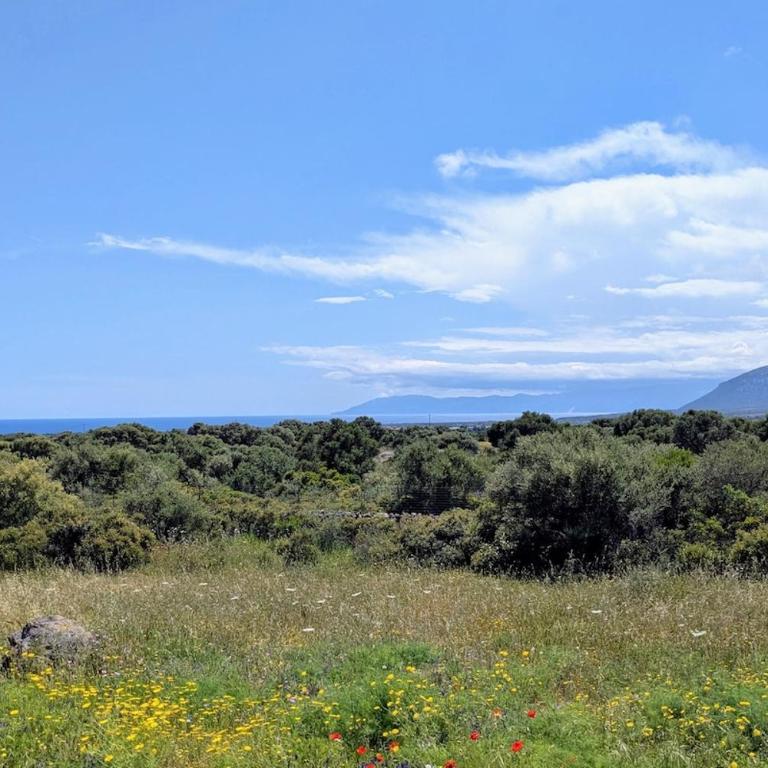 Private Countryside Retreat, Distant Sea View - Villa - 20