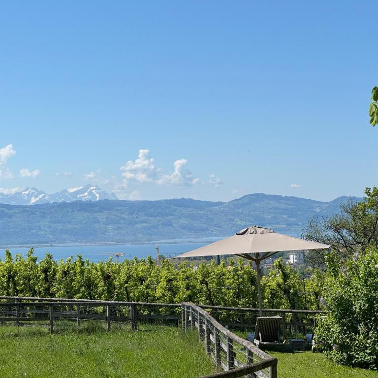 Hotel Montfort-Schlössle - Einzelzimmer mit Gartenblick - 3