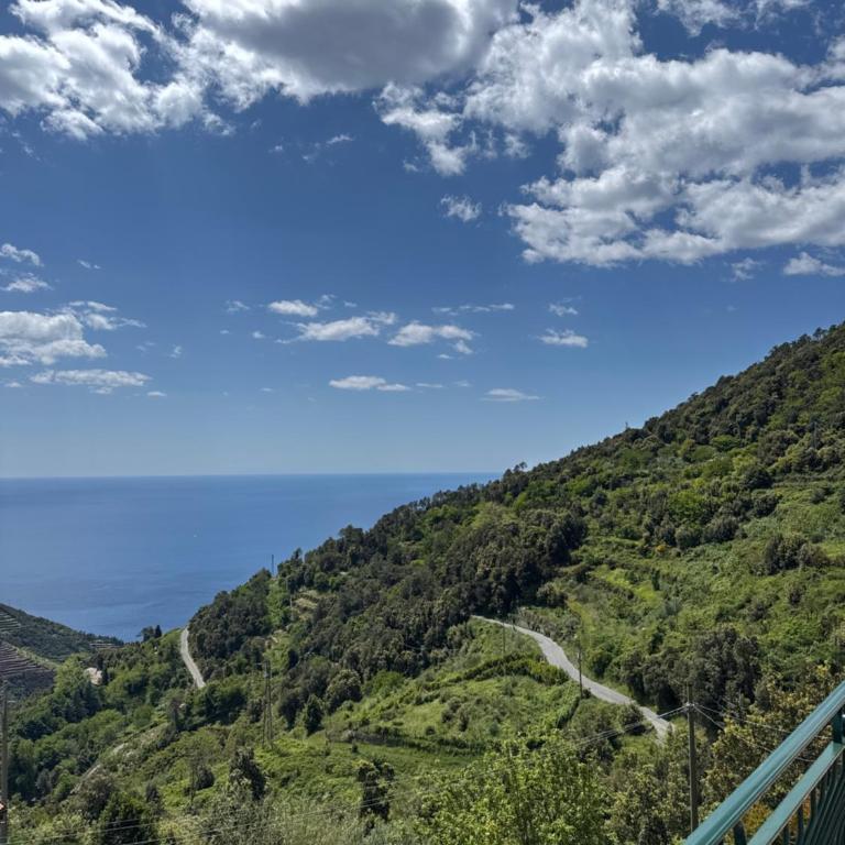 Affittacamere PZ - Camera Matrimoniale con Terrazza - 10
