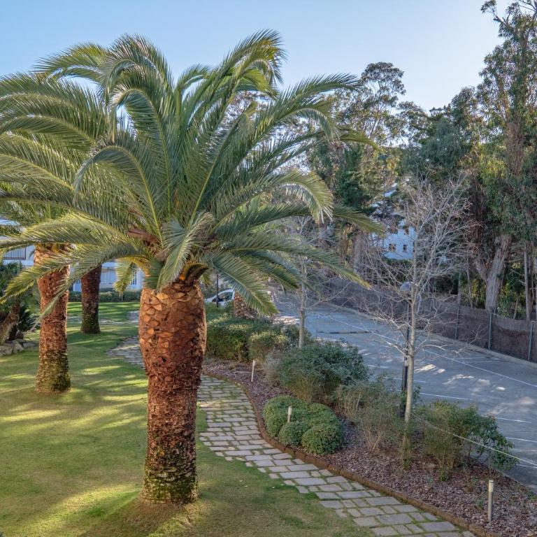 AO-4 CALELLA DE PALAFRUGELL 2 PAX - Apartamento Estudio - 13