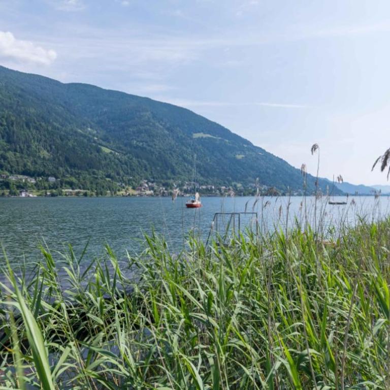MOOKI Loft und Lake Ossiacher See Gerlitzen own beach - Loft Apartment mit 1 Schlafzimmer - 23
