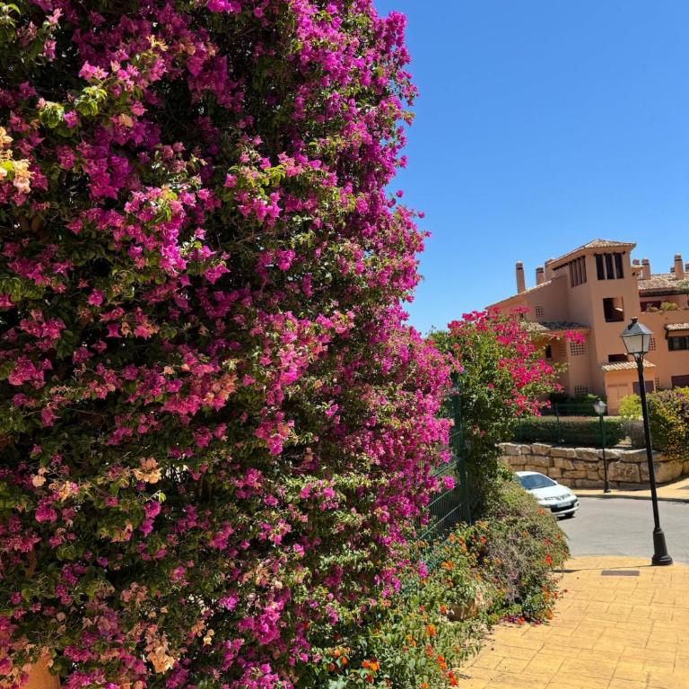 Fabuleux Penthouse Duplex Marbelle Elviria La Mairena - Apartamento de 3 dormitorios - 14
