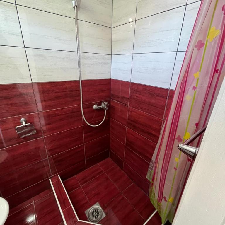 Vojin i Lena - Apartman - 10