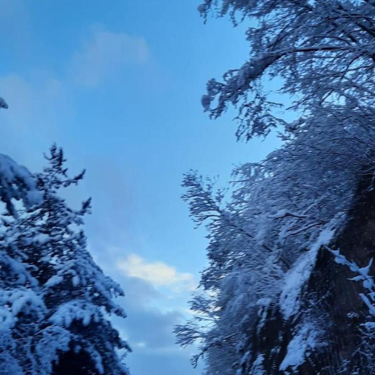 Appartamento ALBa - Appartamento con Vista Montagna - 23
