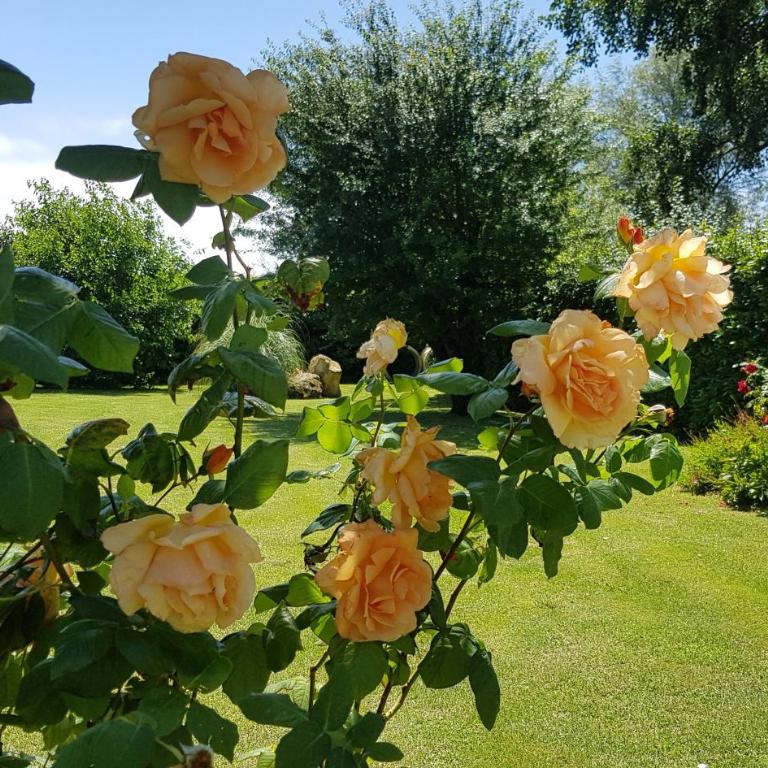 Villa Brocéliande - Les Tilleuls - Apartment mit 2 Schlafzimmern und Terrasse - 27