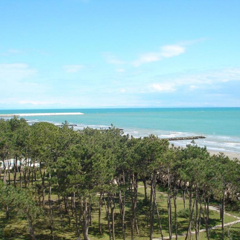 Seaview flat just 70mt from the sea - Appartamento - 12