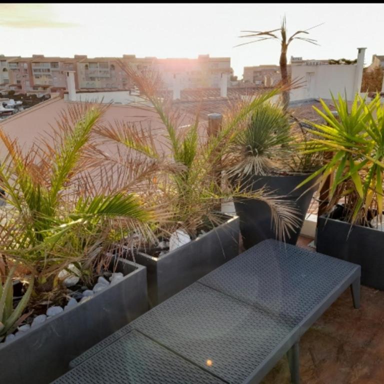 Le Solarium - Appartement 1 Chambre - 8