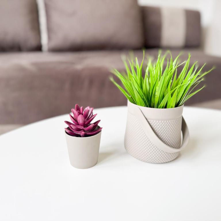 Soft City Stay - Central Location - One-Bedroom Apartment - 34