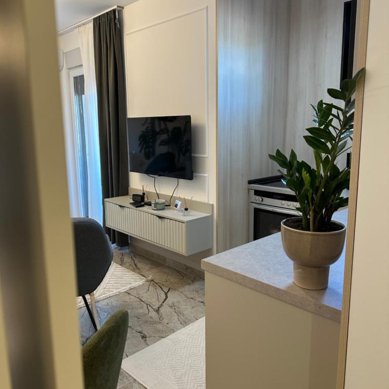 Mila apartman Banja Koviljaca - Apartman sa 1 Spavaćom Sobom - 3