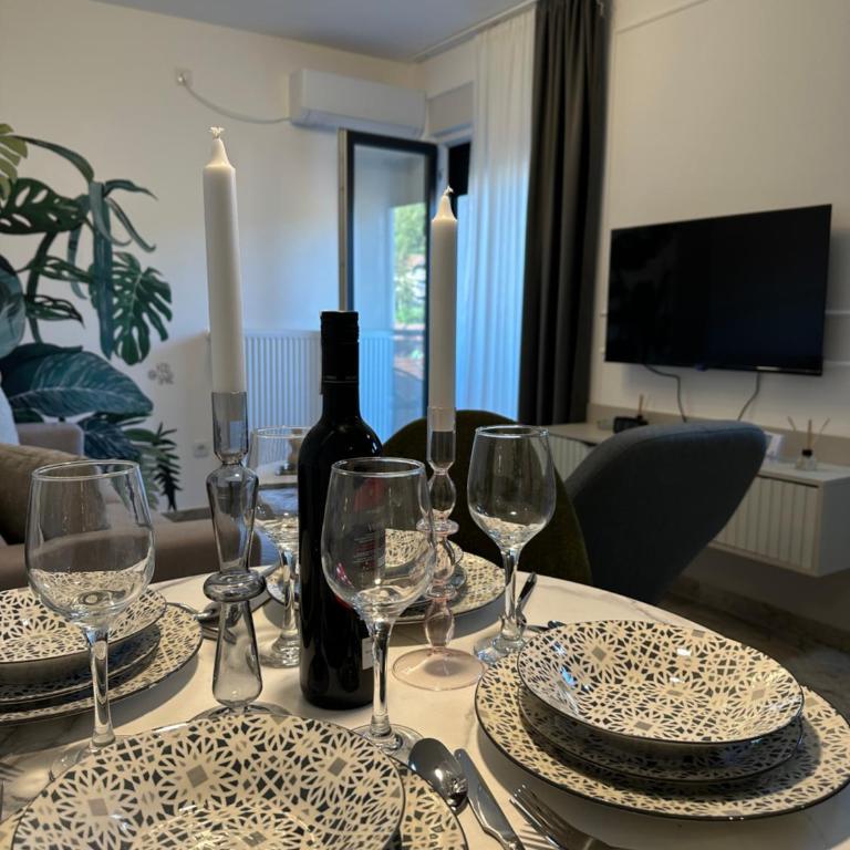 Mila apartman Banja Koviljaca - Apartman sa 1 Spavaćom Sobom - 23