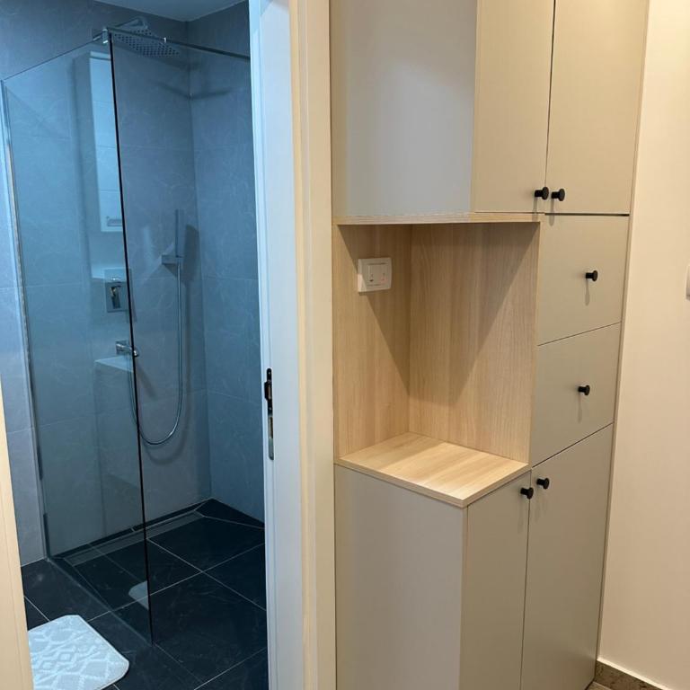 Mila apartman Banja Koviljaca - Apartman sa 1 Spavaćom Sobom - 5
