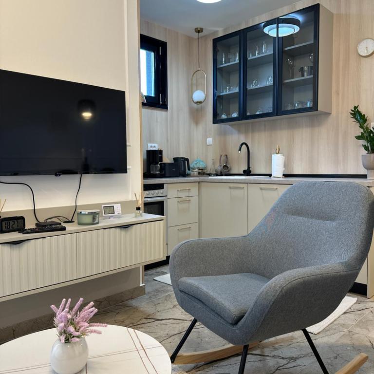 Mila apartman Banja Koviljaca - Apartman sa 1 Spavaćom Sobom - 6
