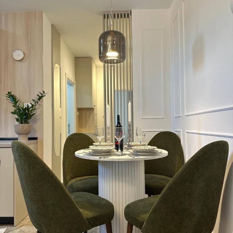 Mila apartman Banja Koviljaca - Apartman sa 1 Spavaćom Sobom - 7