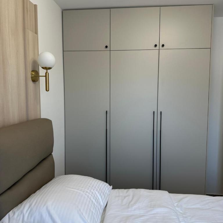 Mila apartman Banja Koviljaca - Apartman sa 1 Spavaćom Sobom - 8