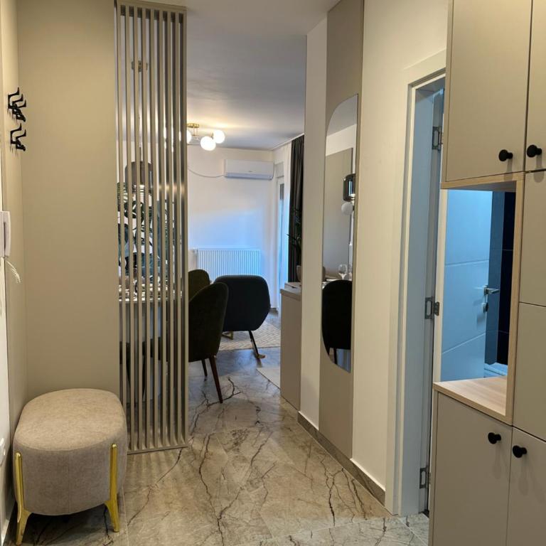 Mila apartman Banja Koviljaca - Apartman sa 1 Spavaćom Sobom - 10