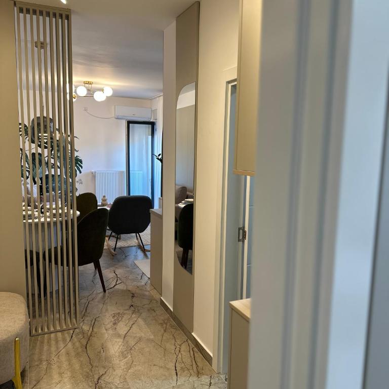 Mila apartman Banja Koviljaca - Apartman sa 1 Spavaćom Sobom - 11