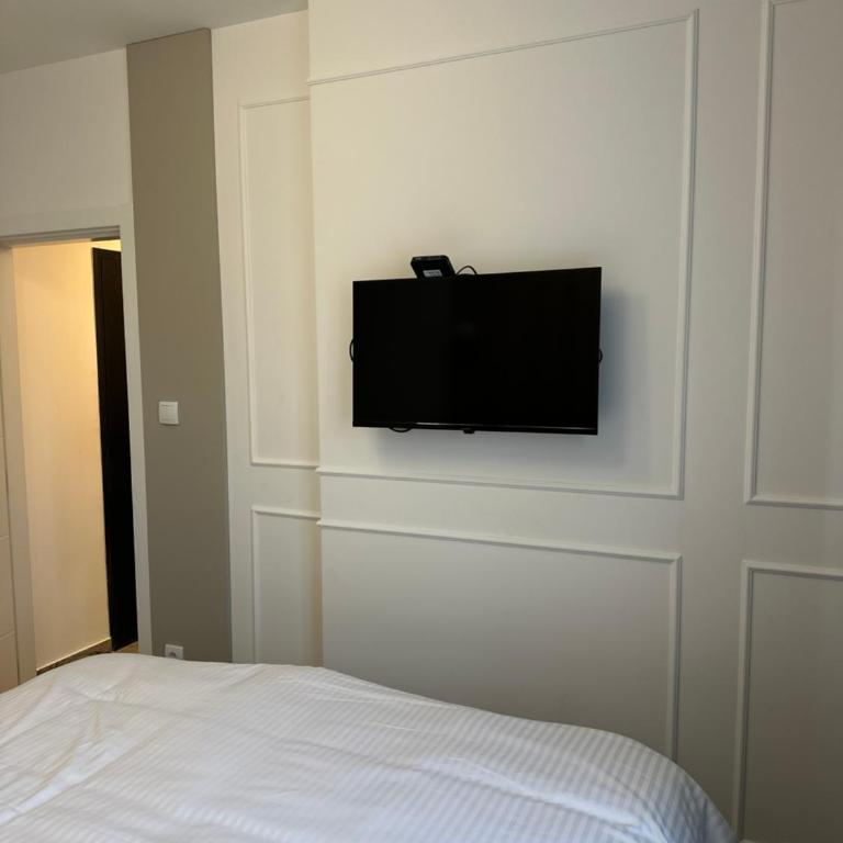 Mila apartman Banja Koviljaca - Apartman sa 1 Spavaćom Sobom - 12