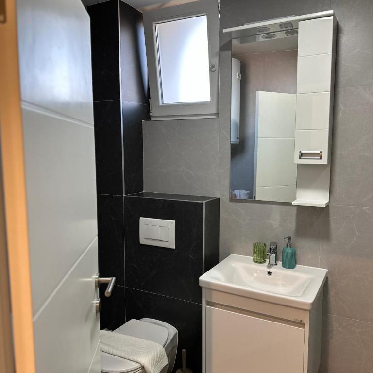 Mila apartman Banja Koviljaca - Apartman sa 1 Spavaćom Sobom - 13