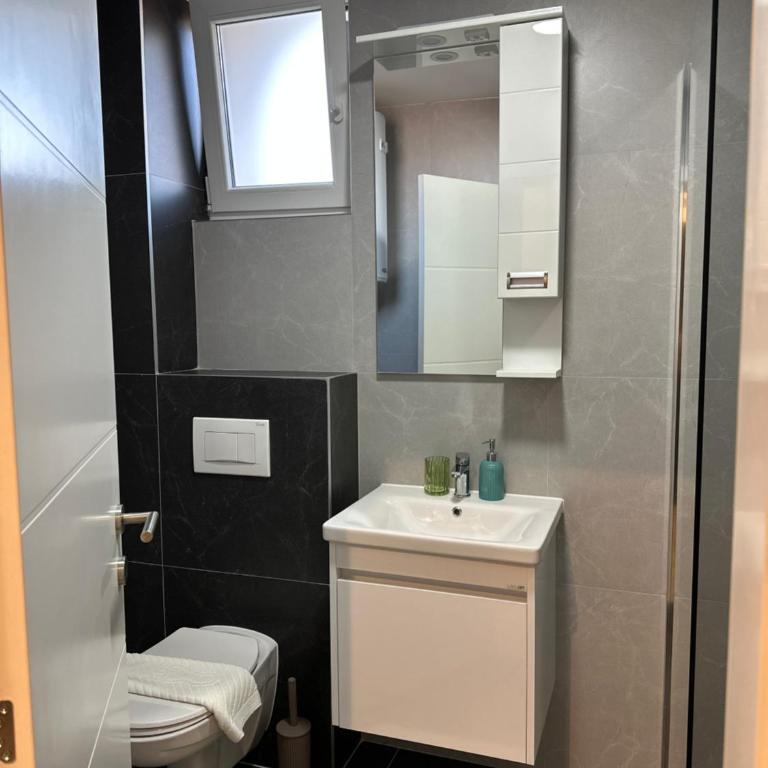 Mila apartman Banja Koviljaca - Apartman sa 1 Spavaćom Sobom - 19
