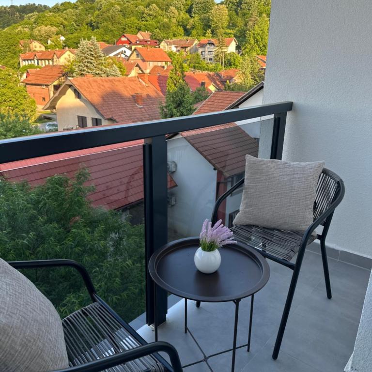 Mila apartman Banja Koviljaca - Apartman sa 1 Spavaćom Sobom - 21