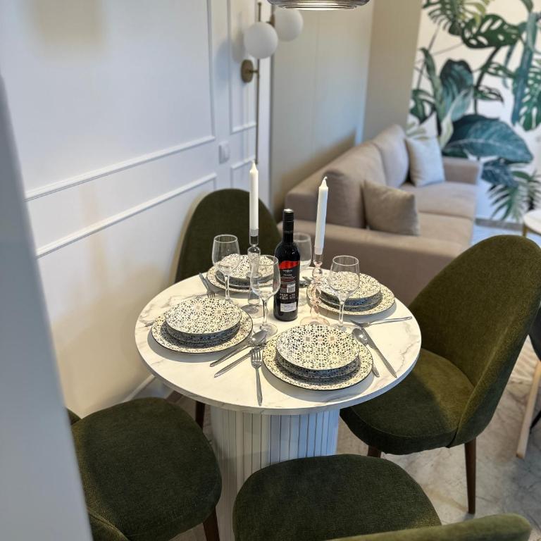 Mila apartman Banja Koviljaca - Apartman sa 1 Spavaćom Sobom - 24