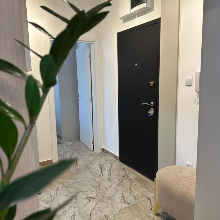 Mila apartman Banja Koviljaca - Apartman sa 1 Spavaćom Sobom - 25