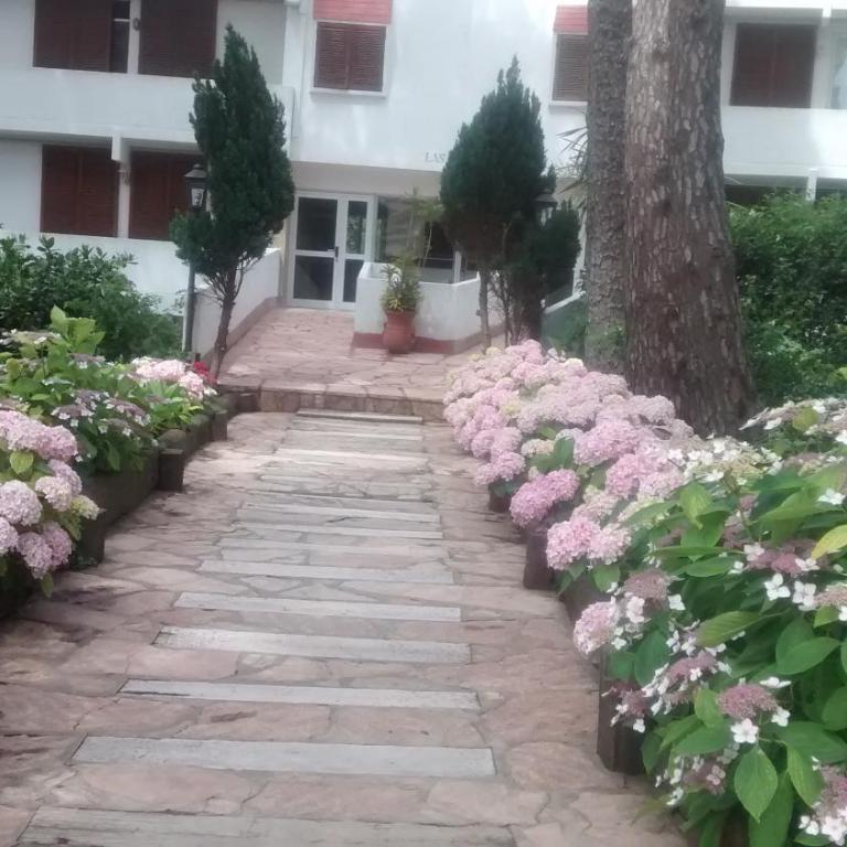 Dunas I, 16 - Apartamento de 1 dormitorio - 1