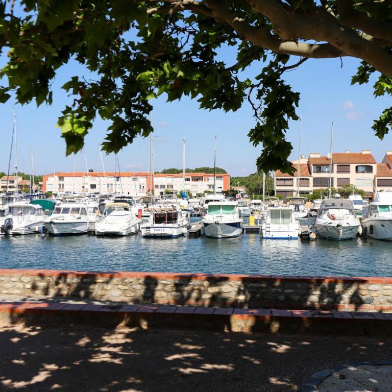 St cyprien superbe appart 4 pers vue sur la marina - Apartment - 1