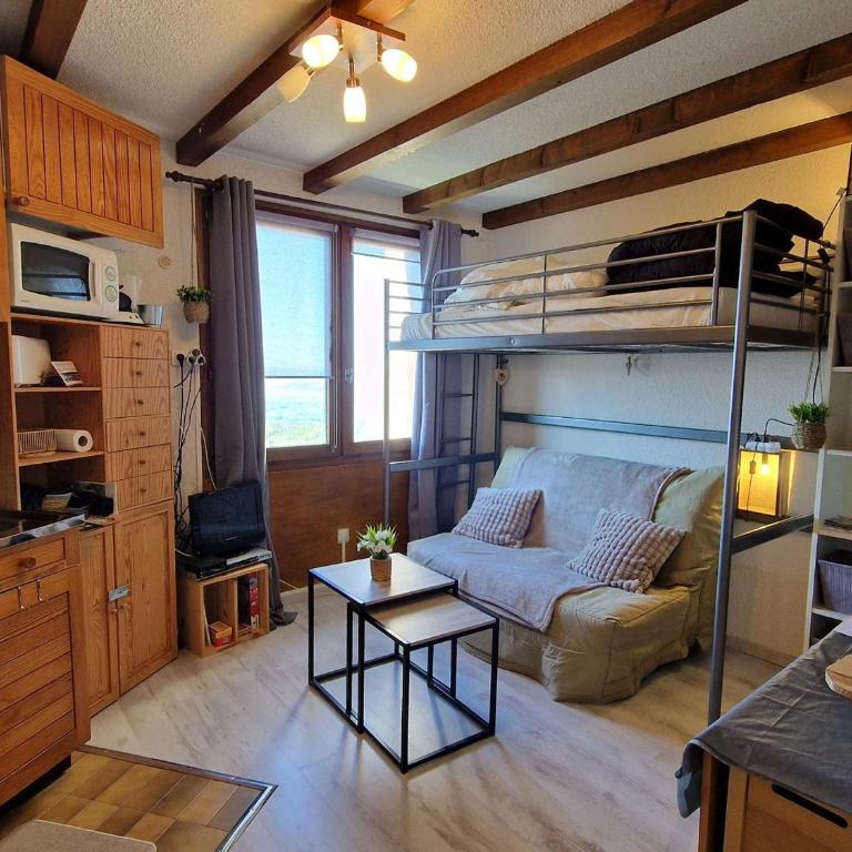 **Studio Montagne 2/3 pers - Pied des pistes, centre station** - FR-1-393-43 - Studio - 1