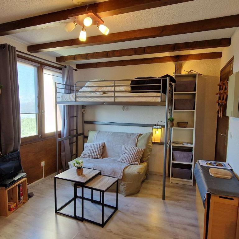 **Studio Montagne 2/3 pers - Pied des pistes, centre station** - FR-1-393-43 - Studio - 5