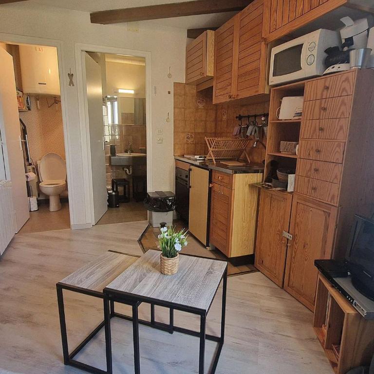 **Studio Montagne 2/3 pers - Pied des pistes, centre station** - FR-1-393-43 - Studio - 7