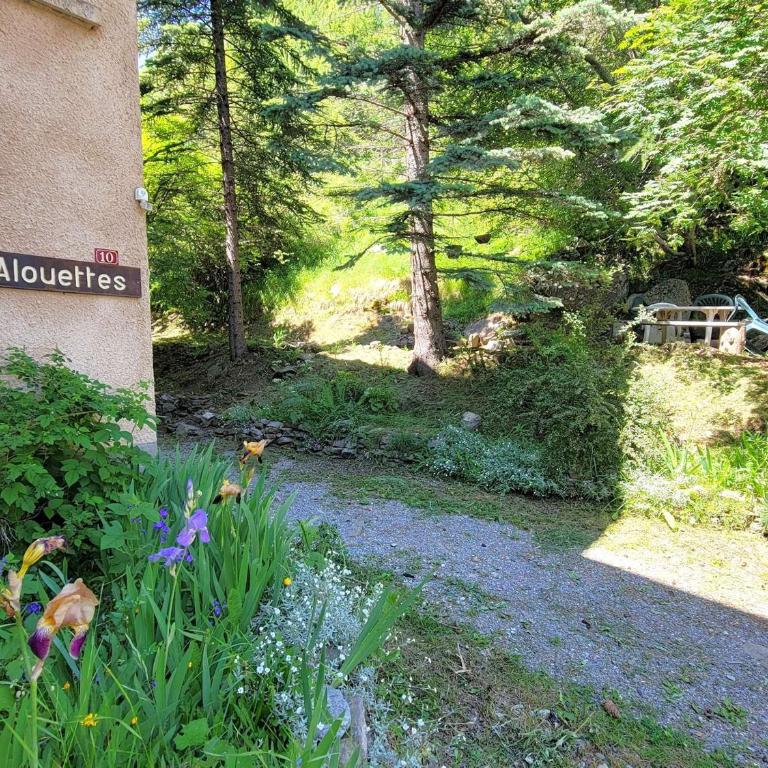 Studio Chaleureux 4 Pers avec Terrasse - Saint-Michel-de-Chaillol - FR-1-393-52 - Estudio - 14