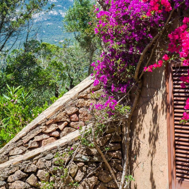 Caletta Nest 10 - Klodge - Appartamento con Vista Mare - 25