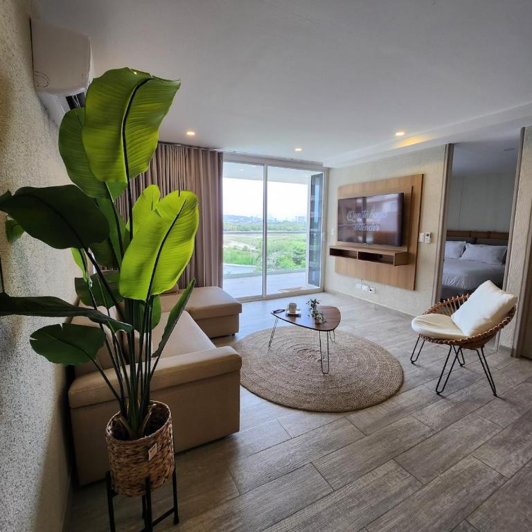 Dominique 609 Apartment with private jacuzzi - One-Bedroom Apartment - 13