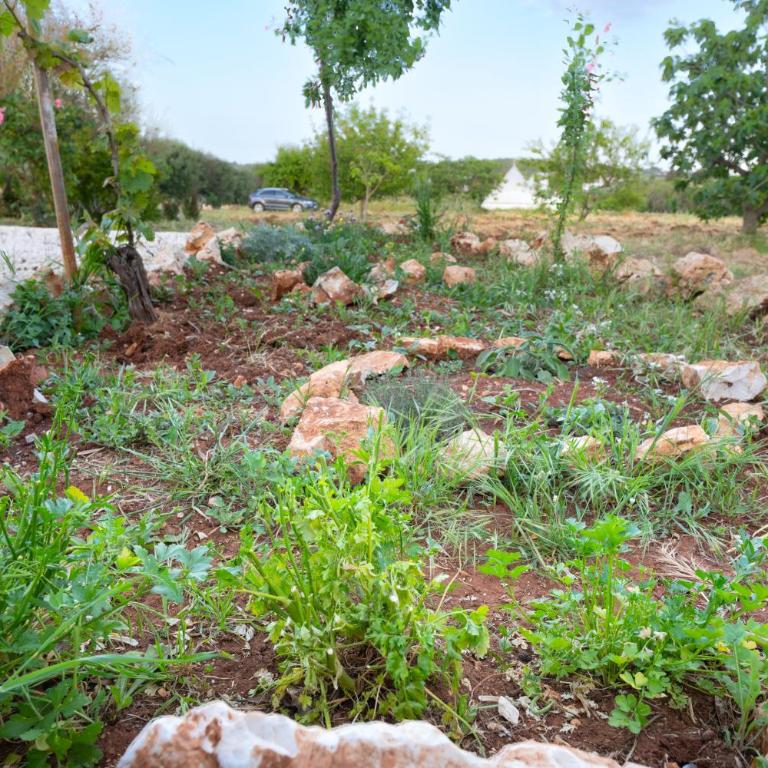 La Casita Ostuni - Authentic Apulian Stay - Casa con 3 Camere da Letto - 53