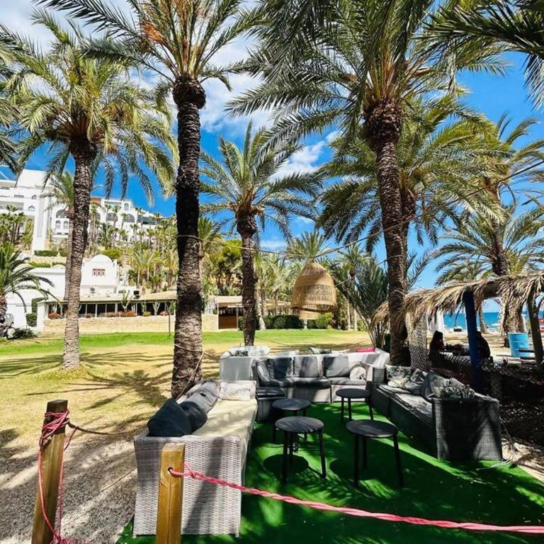 Sol Mediterráneo - Palm Beach 6 - Apartamento con balcón - 13