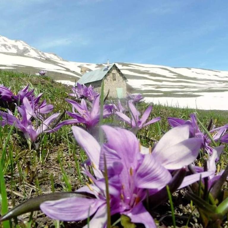 Estatico 2 - Apartment in chalet 70 m2 Garden level with 2 bedrooms - Appartement - 17