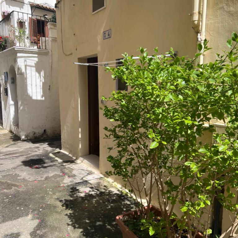 Vico SANTO ORONZO - Appartamento con 1 Camera da Letto - 1