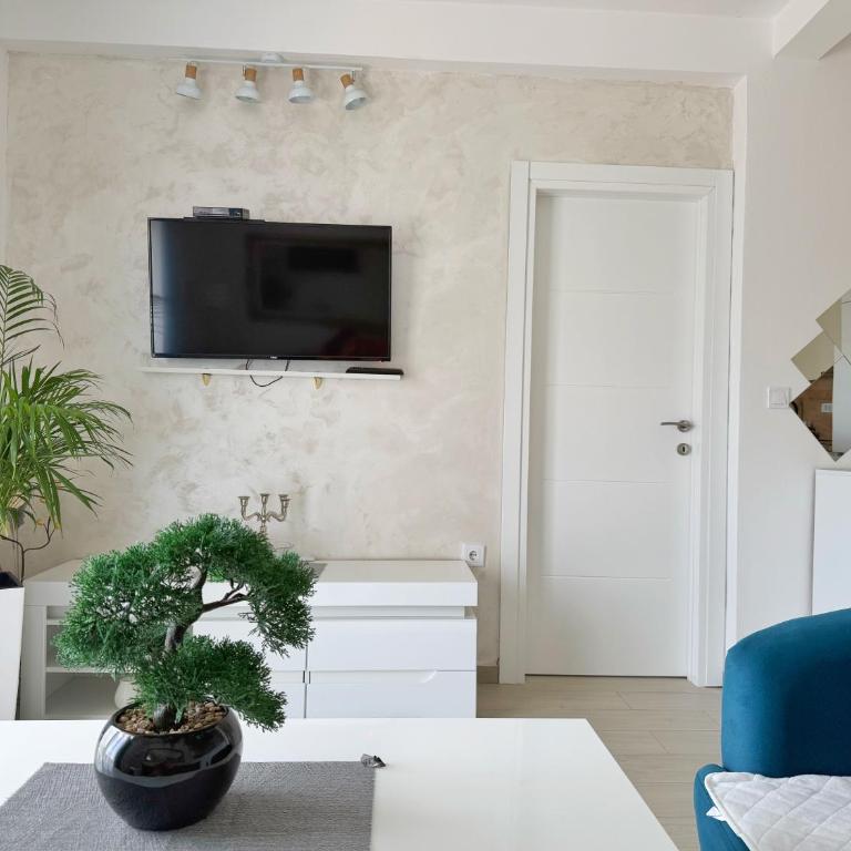 Apartmani Avanti Becici - Apartment with Sea View - 6