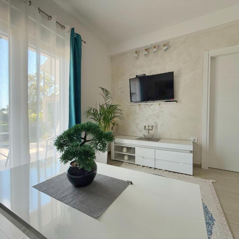 Apartmani Avanti Becici - Apartment with Sea View - 7