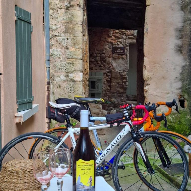 La Tanière du Ventoux - Appartement 1 Chambre - 26