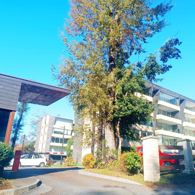 Entorno Natural, cerca del centro de Pucón Parking Privado - Apartamento de 1 dormitorio - 8