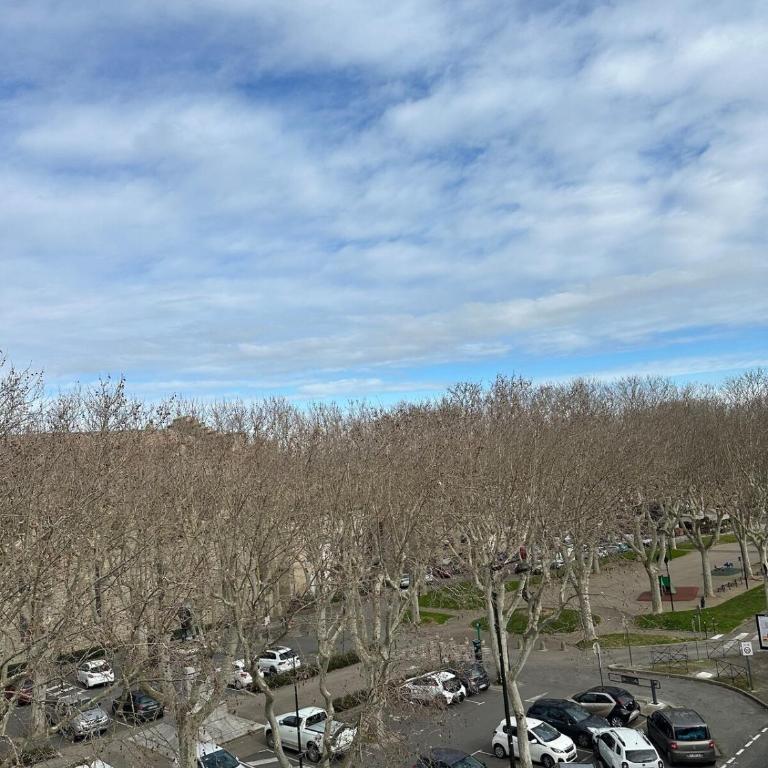 Le Charmant Boisé - T2 Centre Ville 7 min Cité Médiévale - Appartement 1 Chambre - 18