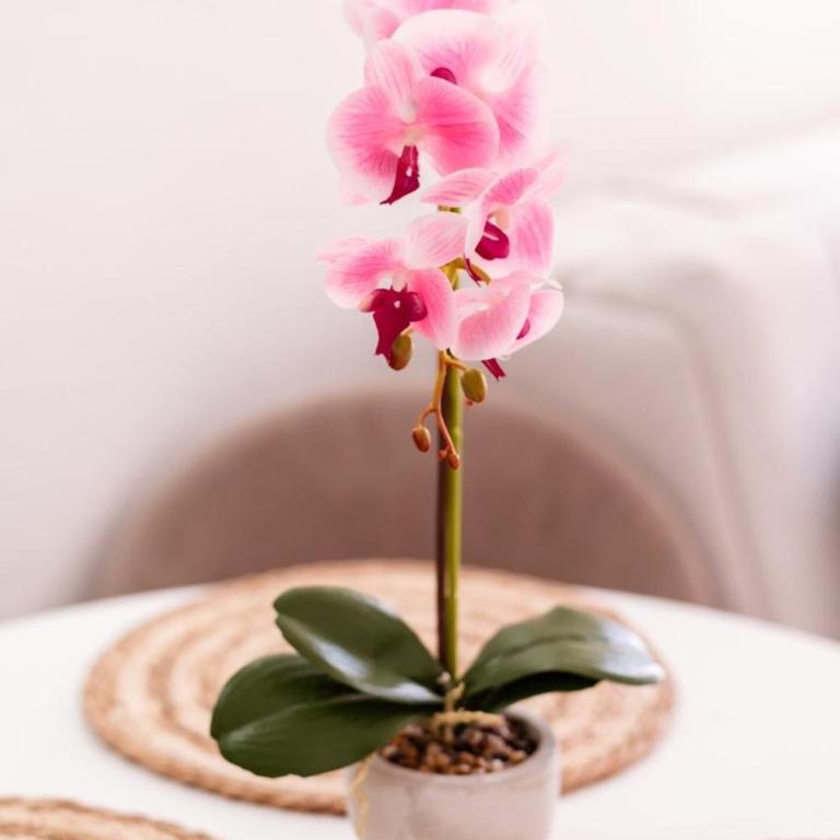 Mia Studio Apartment - Studio - 5