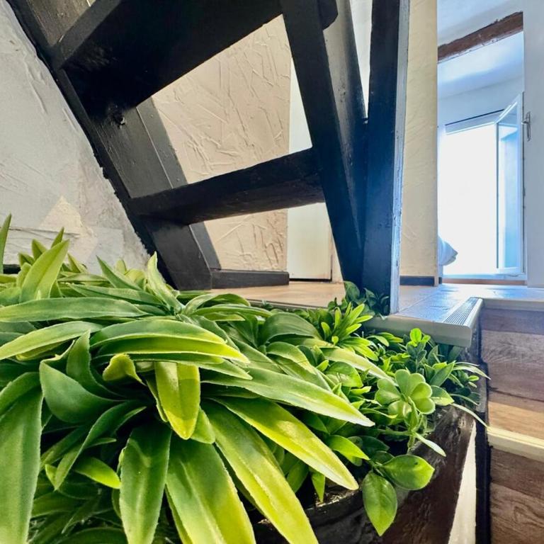 Ostalet Blau Climatisé - Apartment mit 2 Schlafzimmern - 13
