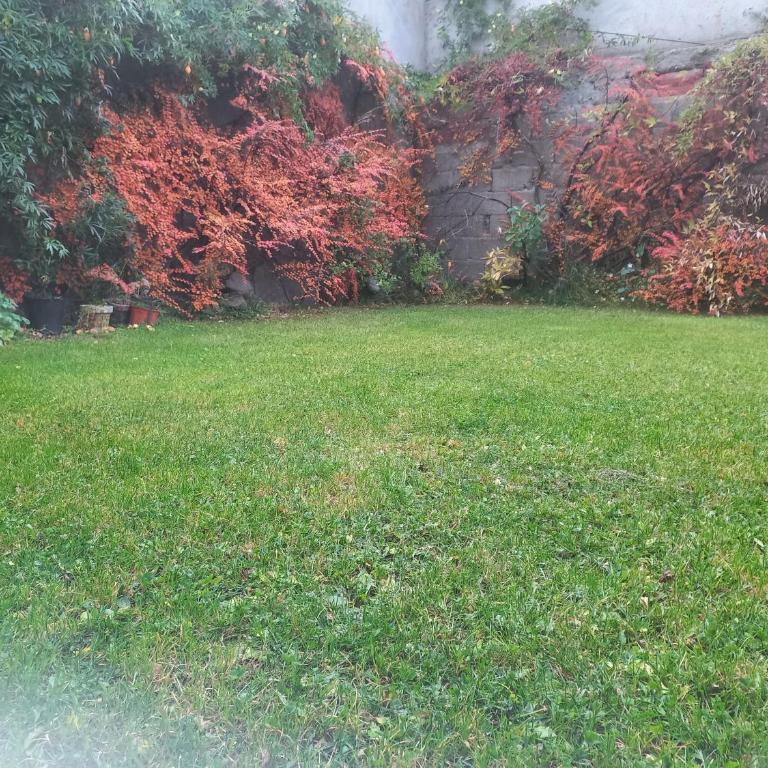 O' higgins 1829 - Casa de 3 dormitorios - 5