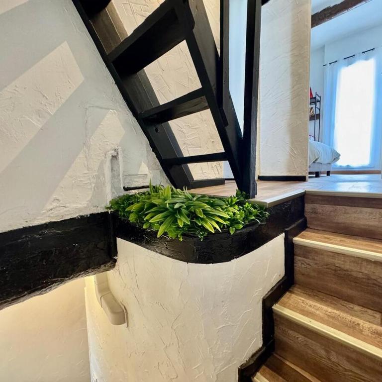 Ostalet Blau Climatisé - Apartment mit 2 Schlafzimmern - 27