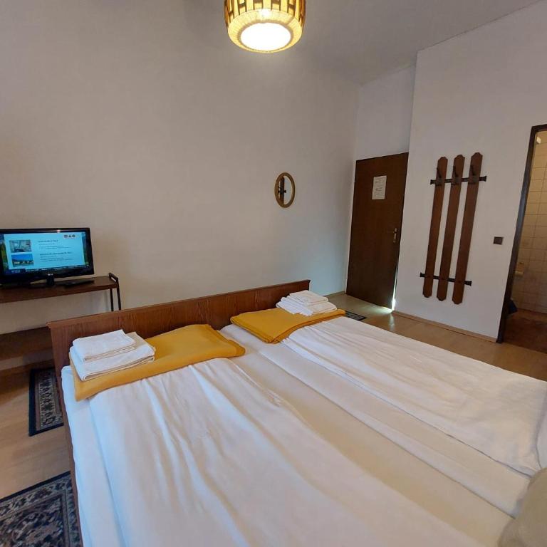 Hotel&Restaurant Gasthof zur Post Eisenerz - Chambre Double Supérieure - 1