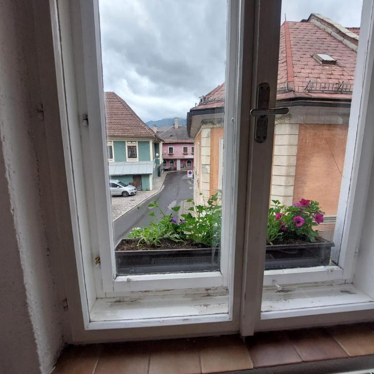 Hotel&Restaurant Gasthof zur Post Eisenerz - Chambre Simple avec Salle de Bains Privative - 7